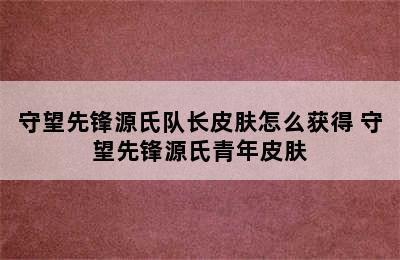 守望先锋源氏队长皮肤怎么获得 守望先锋源氏青年皮肤